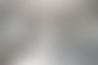 Описание изображения