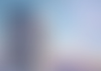 Описание изображения