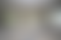 Описание изображения