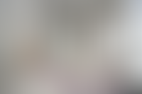 Описание изображения