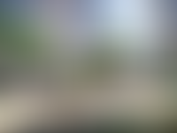 Описание изображения