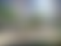 Описание изображения