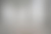 Описание изображения