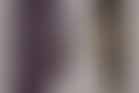 Описание изображения