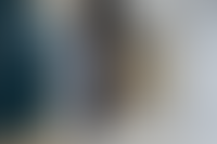 Описание изображения