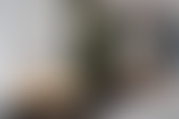 Описание изображения