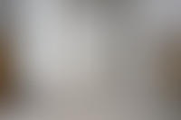 Описание изображения