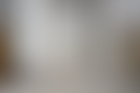 Описание изображения