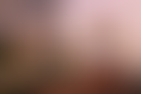 Описание изображения