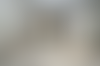 Описание изображения