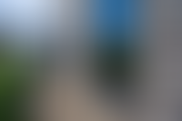 Описание изображения