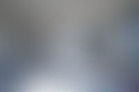 Описание изображения