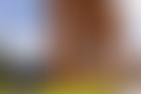 Описание изображения