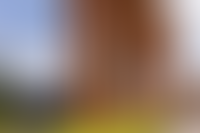 Описание изображения