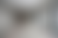 Описание изображения