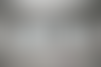 Описание изображения