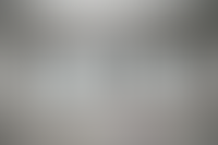 Описание изображения