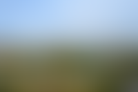 Описание изображения