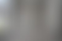 Описание изображения