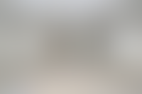 Описание изображения