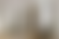 Описание изображения