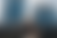 Описание изображения