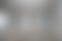 Описание изображения