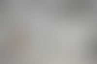 Описание изображения