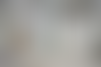 Описание изображения