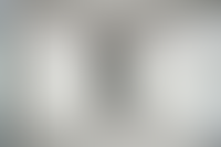 Описание изображения