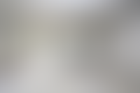 Описание изображения