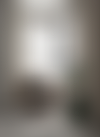 Описание изображения