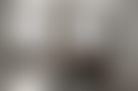 Описание изображения