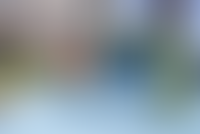 Описание изображения