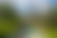 Описание изображения