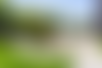 Описание изображения