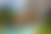 Описание изображения