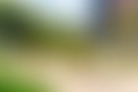 Описание изображения