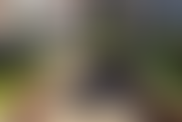 Описание изображения