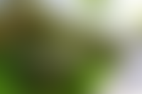 Описание изображения