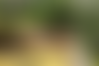 Описание изображения