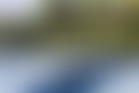 Описание изображения