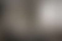 Описание изображения