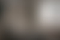 Описание изображения