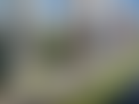 Описание изображения