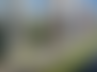 Описание изображения