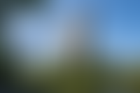 Описание изображения