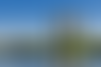 Описание изображения