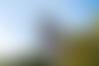 Левел Академическая