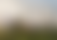 Левел Мичуринский, этапы 3 и 4